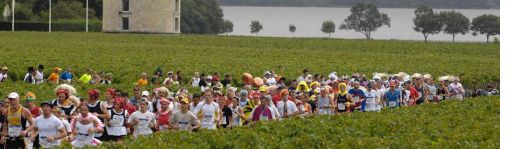 vinski-maraton